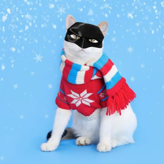 🎭🐱Black Bat Cat Mask – Handmade Superhero Cosplay for Indoor Cats