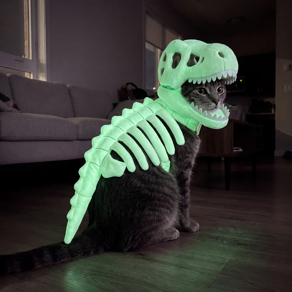 CatSaur Dinosaur skeleton pet clothing