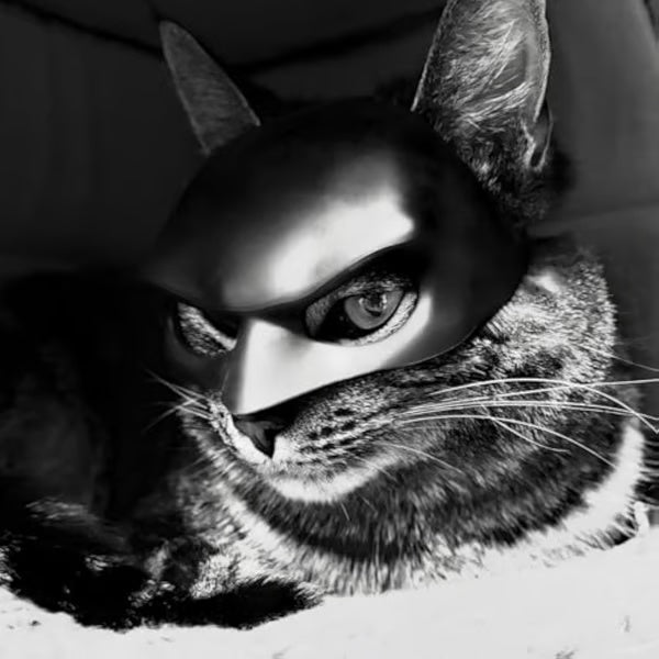 🎭🐱Black Bat Cat Mask – Handmade Superhero Cosplay for Indoor Cats