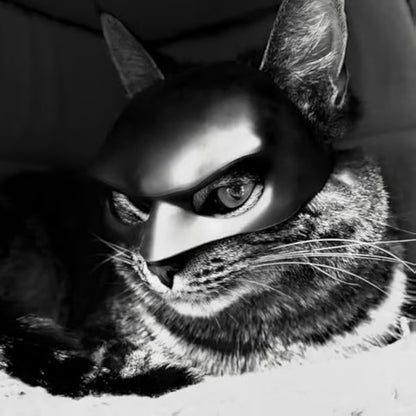 🎭🐱Black Bat Cat Mask – Handmade Superhero Cosplay for Indoor Cats